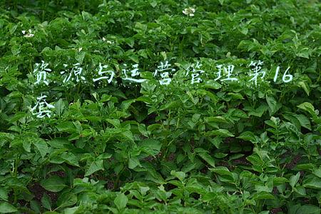 资源与运营管理第16套