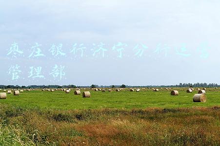 枣庄银行济宁分行(旗袍、茶艺、插花，枣庄银行济宁分行的沙龙活动真优雅)