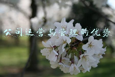 公司运营与管理的优势