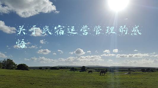 民宿客栈经营管理与运营模式(C2C民宿APP经营模式浅析)