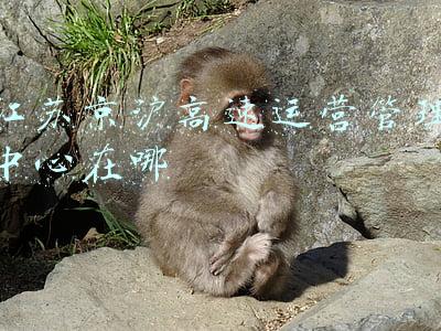 江苏高速公路管理中心(江苏：今日24时前驶离高速均可享免费)