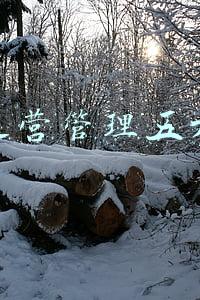 企业运营管理论文(知识赋能 | 中文EMBA第29班《系统运营与价值链管理》课程圆满结束)