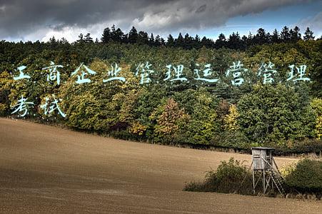 工商企业管理考试答案(2021中级经济师《工商管理》考试真题答案(1-10题))
