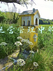 企业运营管理中的保险