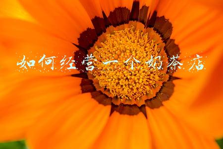 如何经营一个品牌，如何经营自己的品牌
