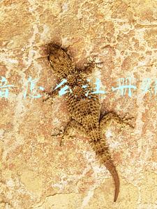 抖音怎么注册多个账号(微信更新！可以建小号了，还有三大新功能)