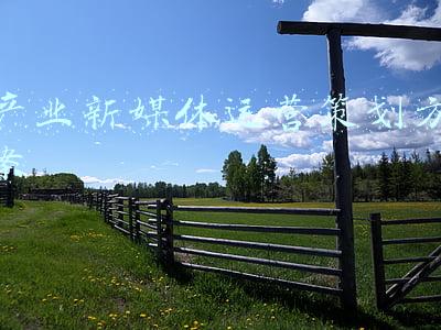 黑龙江新媒体产业园(黑龙江新媒体产业园)