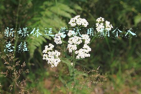 新媒体运营的自我评价怎么写(戒掉短视频后，我的人生像开了挂一样)