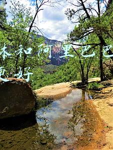 新媒体运营和淘宝运营哪个工作好(2021热门岗位推荐！零基础小白最适合学的互联网岗位)