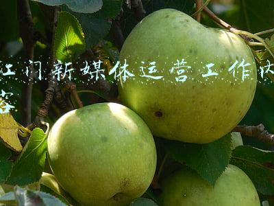 新媒体运营日常工作内容(新媒体运营一天的工作内容竟然如此简单？)