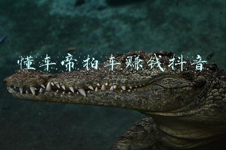 懂车帝拍车赚钱抖音