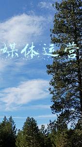 重庆新媒体运营协会怎么加入(央视记者王冰冰走红成学界关注热点，多篇论文剖析“网红记者”)