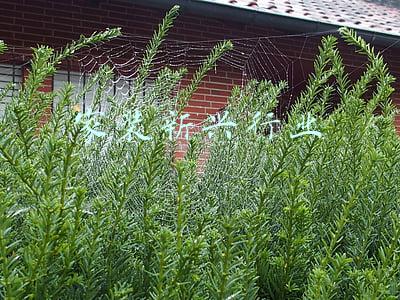 家居装修行业(2021A股家居行业盘点：业绩复苏趋势明显，过半企业收涨)