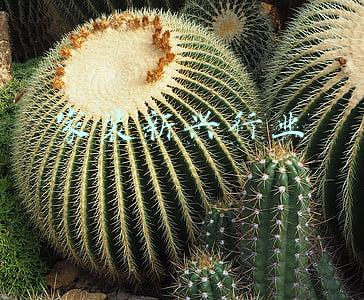 家装行业的发展趋势(2021年中国家装行业研究报告)