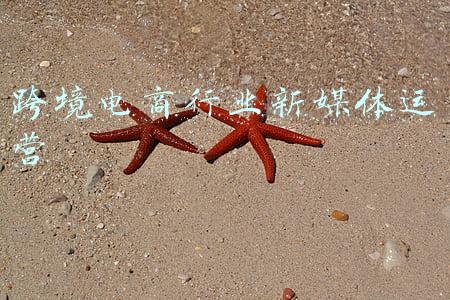 跨境电商行业新媒体运营