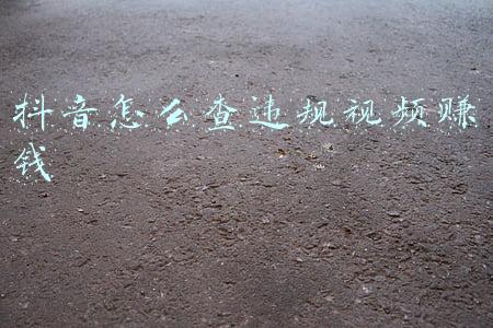 怎么举报违规车辆赚钱(漳州这里举报严重交通违法有奖，包括这几种行为！)