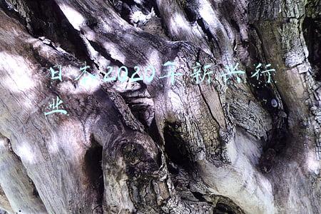 日本2020年新兴行业