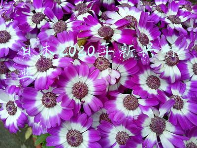 日本行业发展趋势(2022年美容行业六大趋势)