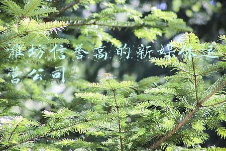 潍坊自媒体运营公司(潍坊新纪元建材市场抖音短视频自媒体公开课圆满结束)