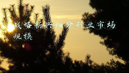 战略新兴细分行业市场规模