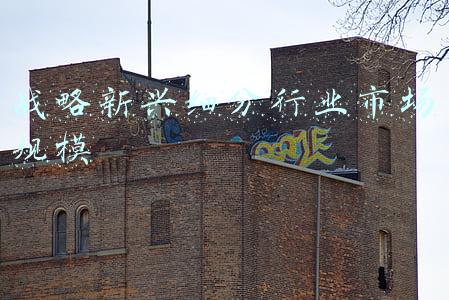 战略新兴细分行业市场规模