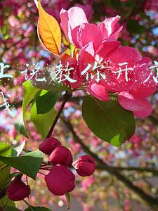 现身说教(这堂课不一般：邀请军嫂和地方专家来队“现身说教”)
