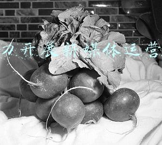 大力开展新媒体运营工作