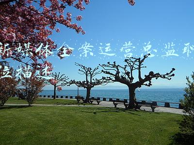 新媒体营销全案(传统营销已死！新媒体营销能赋予企业怎样的想象空间？)