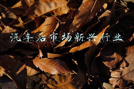 汽车后市场新兴行业
