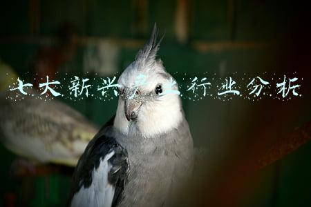 七大新兴产业行业分析
