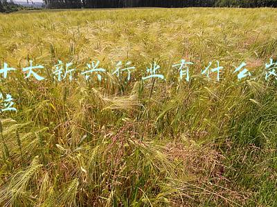 中国未来十大新兴行业(先进制造业成为多地新年发力点，这十强城市占领先机)