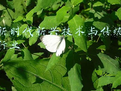 随着新技术的发展和新兴产业的发展(乔新生：科学技术改变产业结构)