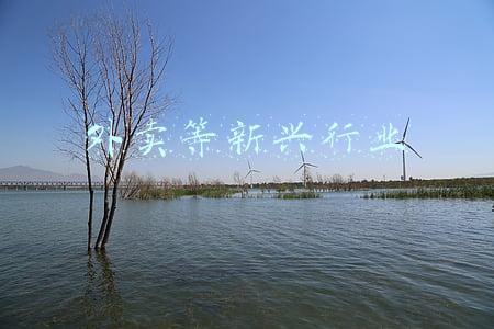 外卖等新兴行业的兴起和发展(阿里本地生活：2020-2021年中国外卖行业发展研究报告)