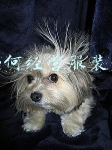 如何经营服装店小型-怎样经营一家小型服装店