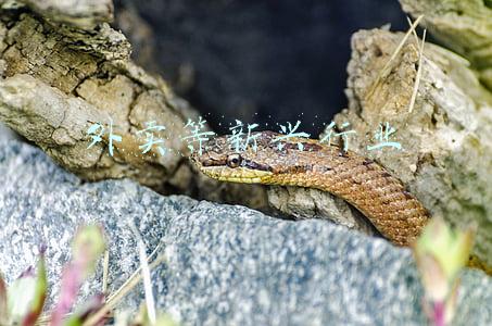 外卖行业的兴起(「下篇」回望外卖十余年发展历程，这其中都经历了哪些逻辑变革？)