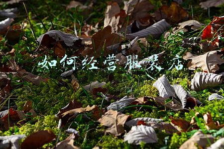 如何经营服装店计划；开服装店计划书