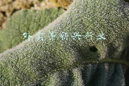 外卖等新兴行业