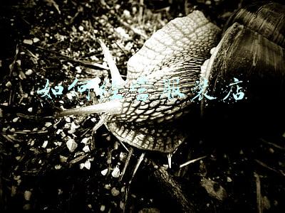 服装店合伙经营协议书 服装店合伙经营协议合同范本