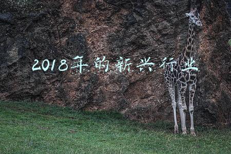 2018年的新兴行业