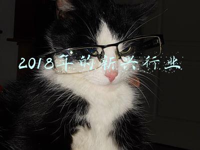2018年的新兴行业