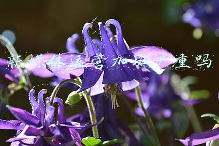 新媒体运营交流平台(新媒体运营常用内容搜索4大平台工具你知道了吗？)