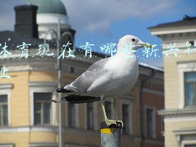 体育现在有哪些新兴行业