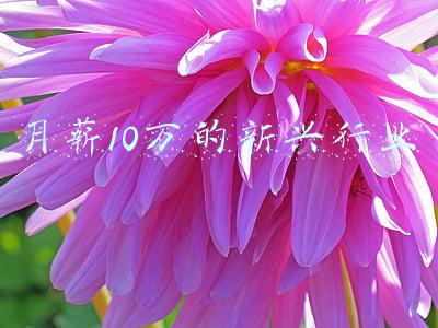 月薪10万的职业(工作经验10年以上职位招聘平均年薪50.29万元 哪些行业和岗位“越老越吃香”？)
