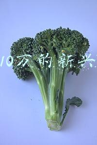 月入10万的职业(当事人回应与妻子“在美国开卡车月入10万”：曾差点从高架桥上掉下去)