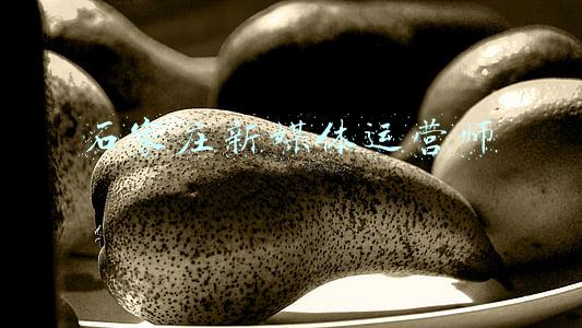 石家庄新媒体运营师