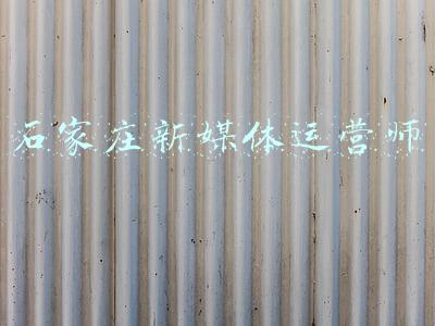 石家庄媒体(石家庄市四大班子集体搬家的四个看点)