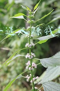 留给普通人赚钱的新兴行业