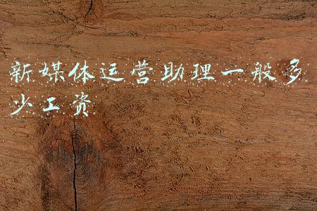 新媒体运营助理岗位职责(又一大波实习岗位来袭)