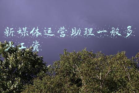 新媒体运营助理年终工作总结(山东女首富盖楼起家，做女人生意被指收智商税，身家半年缩550亿)