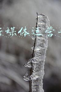 湖南卫视新媒体(月活8亿，湖南卫视是新媒体吗？)